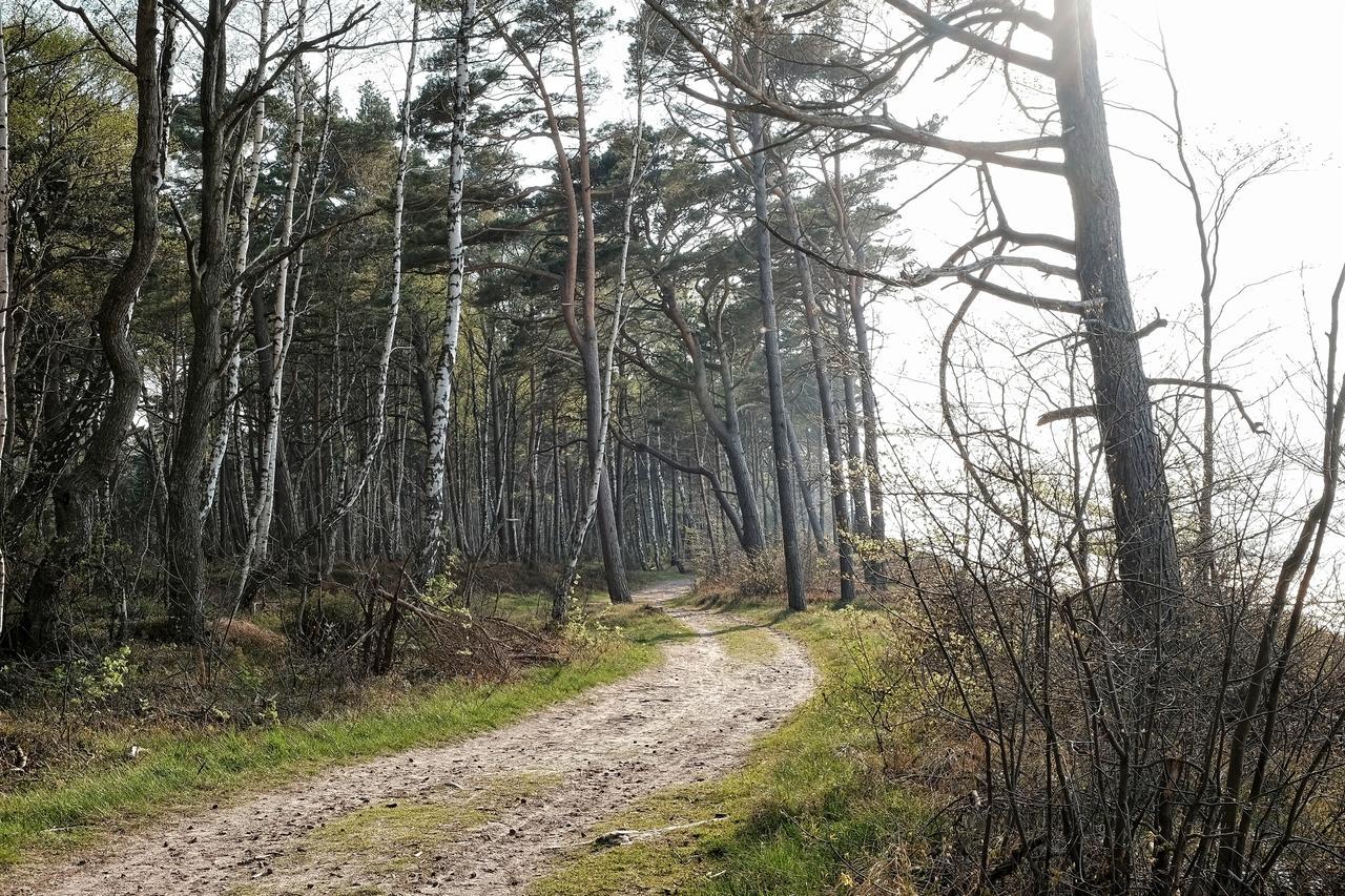 Dwor W Bychowie Gniewino Esterno foto